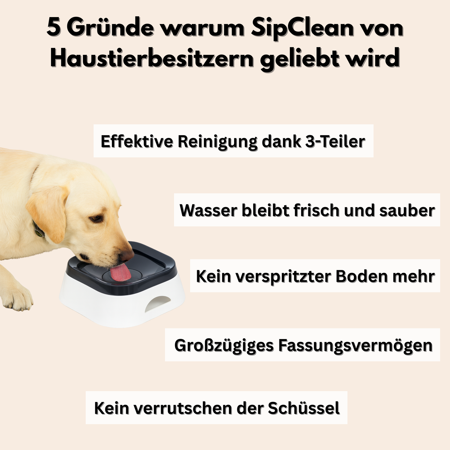 CleanSip