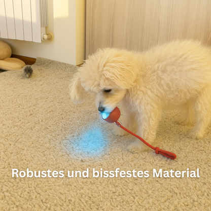 ChaseFun - Kugelförmiger Spielspaß für Hunde und Katzen