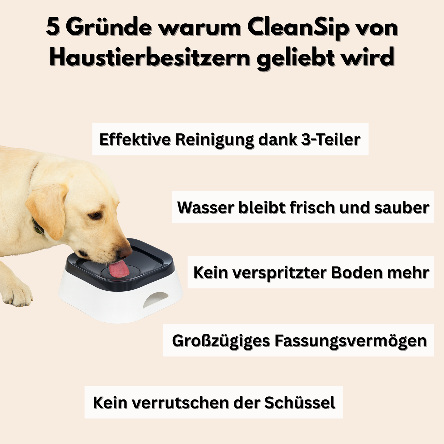 CleanSip