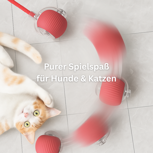 ChaseFun - Kugelförmiger Spielspaß für Hunde und Katzen