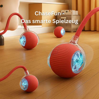 ChaseFun - Kugelförmiger Spielspaß für Hunde und Katzen