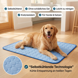 1 Stück